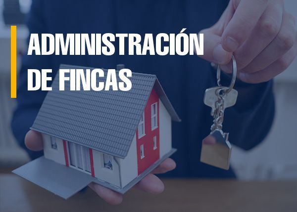 Administrador de fincas